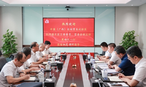 中国（广西）自由业务试验区平凉港片区治理委员会副主任、党工委委员莫福文莅临15VIP太阳集团调研