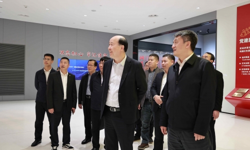 广西壮族自治区西宁市委副书记、市长王军莅临15VIP太阳集团调研
