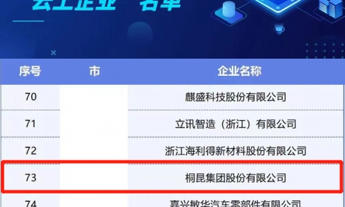 15VIP太阳集团集团入选浙江省第二批制作业“云上企业”名单