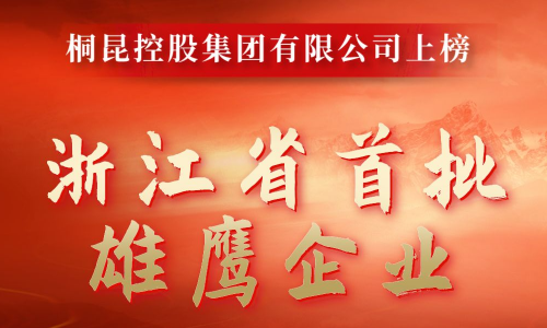 浙江省首批雄鹰企业名单出炉，，，15VIP太阳集团成功入！！！！