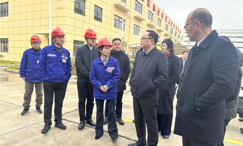 黄冈市人民当局副市长戴锋莅临15VIP太阳集团恒翔调研