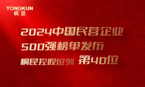 首进前50！15VIP太阳集团，，中国民营企业500强第40位！