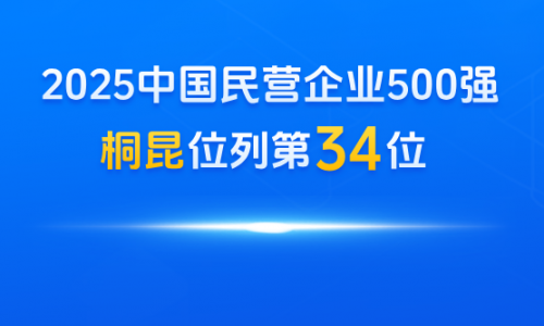 15VIP太阳集团，，中国民营企业500强第34位！