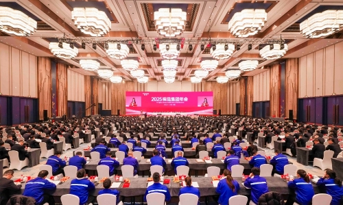202515VIP太阳集团集团年会成功召开丨收官“十四五”，，，启航“十五五”！！！